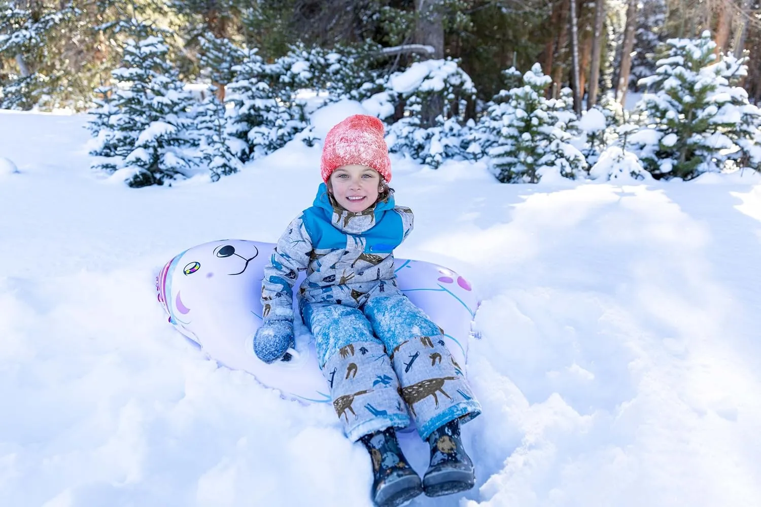 Inflatable Snow Animal Sleds & Snow Tubes.