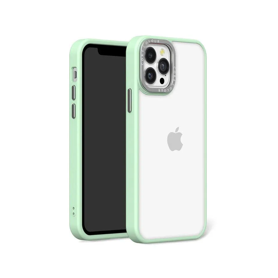iPhone 11 Pro Hint of Mint Clear Phone Case